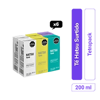 Té Hatsu Surtido Tetrapack 200 ml x 6 und
